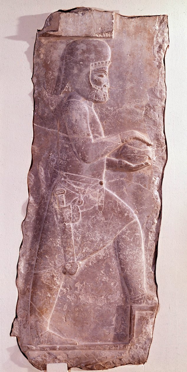 Stenrelief som representerar en medisk tjänare (folk från Iran). Routeenide period. Låg relief från trappan till palatset Darius I (550-486 f.Kr.) kung av Persien. Persepolis, Fars, Iran. Bevara på Museum of Fine Arts Zürich av Persian School