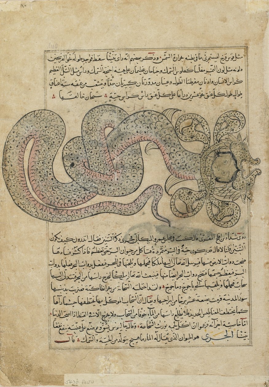 The Sea-SerpentDragon (al-Tannin), folio från Ajaib al-makhluqat (Skapelsens under) av al-Qazvini, Irak eller östra Turkiet (ogenomskinlig akvarell, bläck, guld och silver på papper) av Persian School