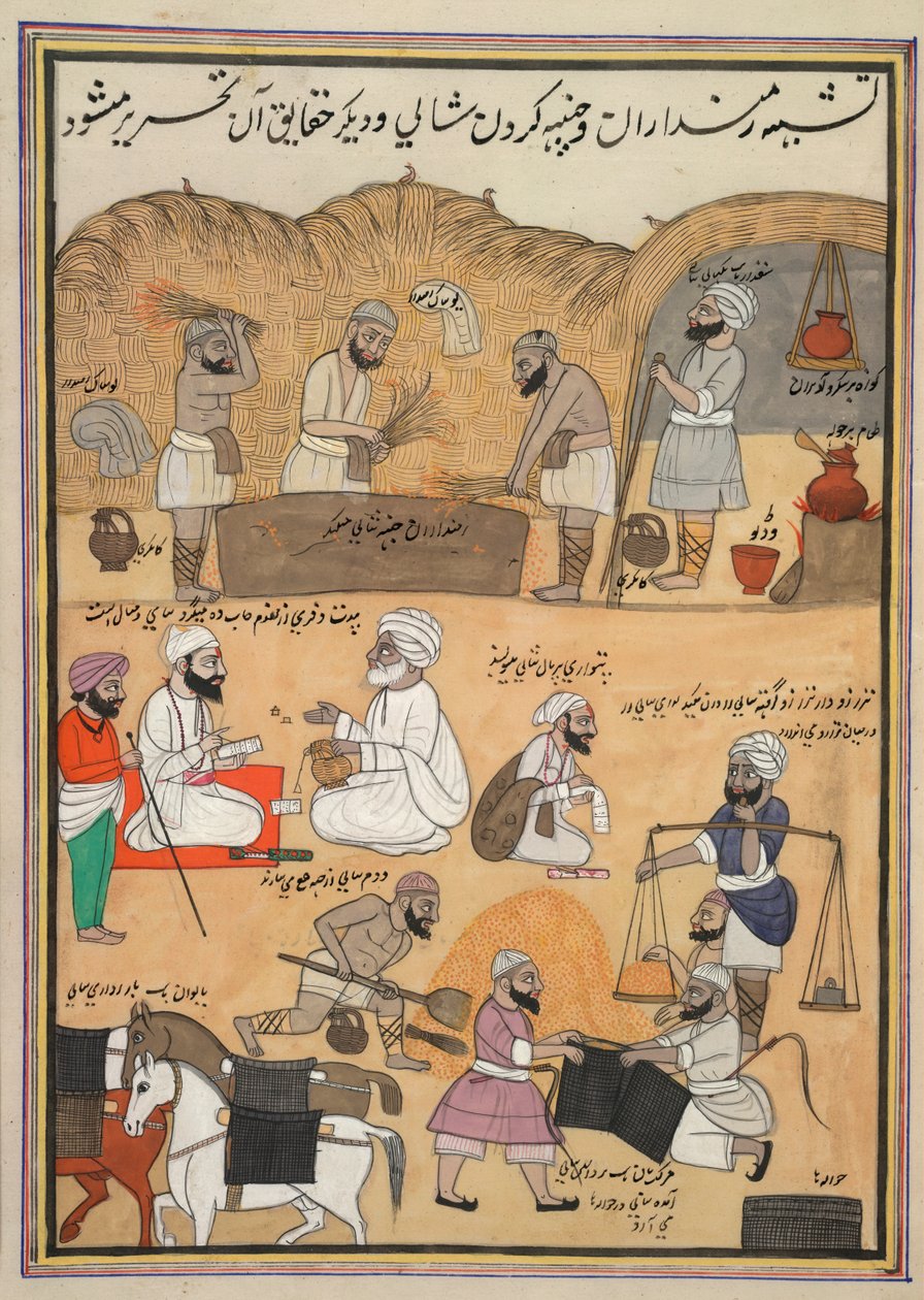 Tröskar paddy, väger den och packar den i sadelväskor av Persian School