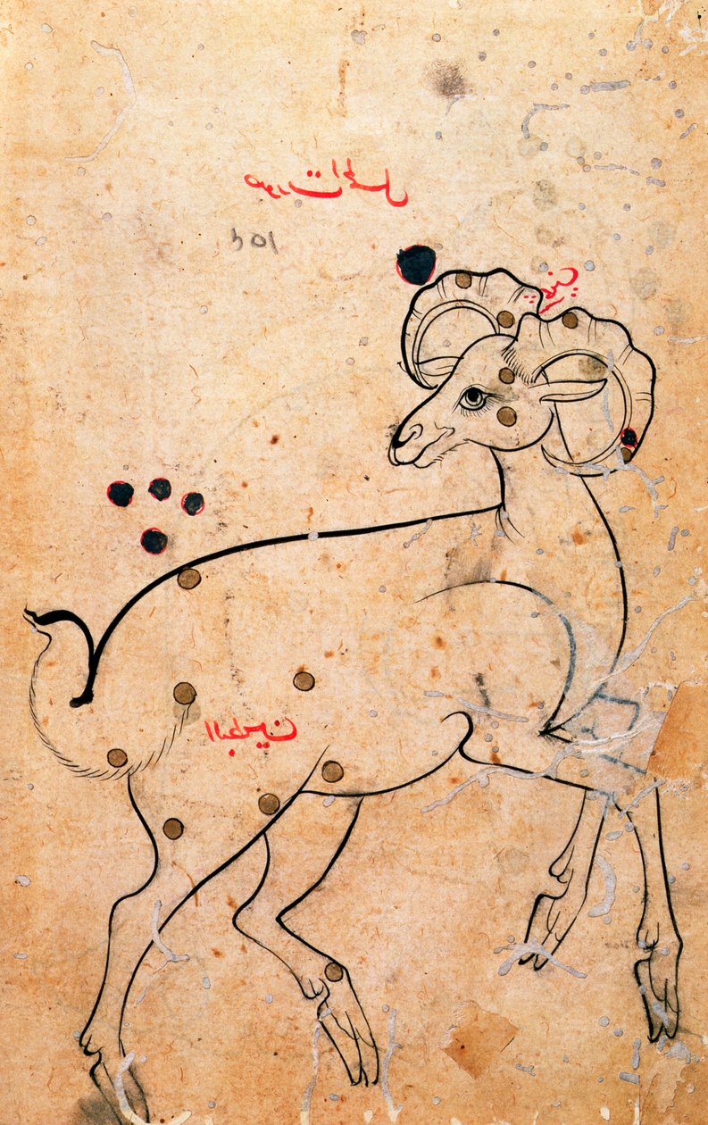 f.154a Väduren, baggen, perser, från Isfahan eller Shiraz, ca 1600 (bläck på papper) av Persian School