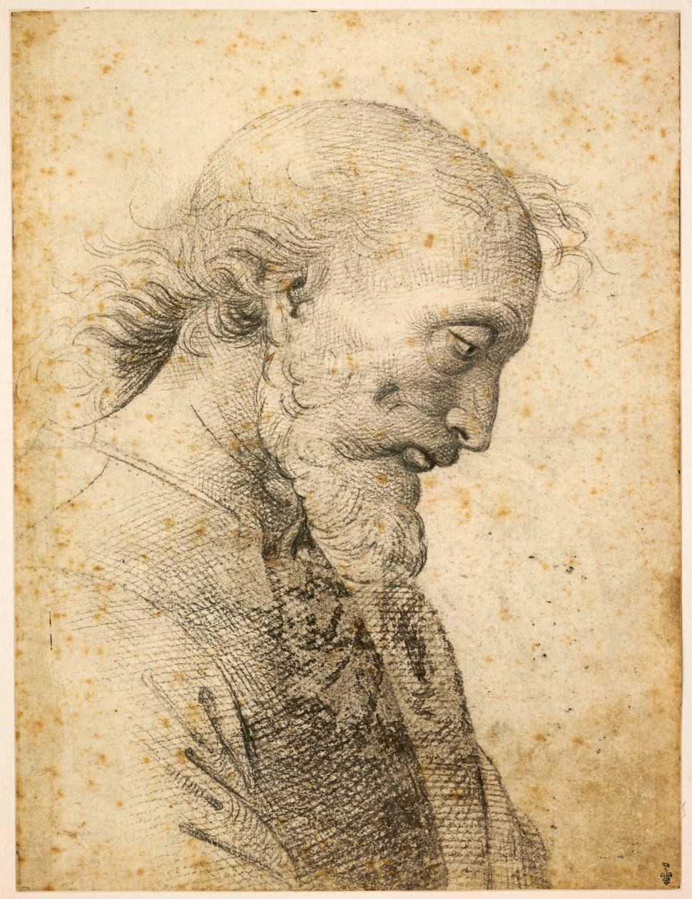 Byst av en man, 1500-1503. av Perugino