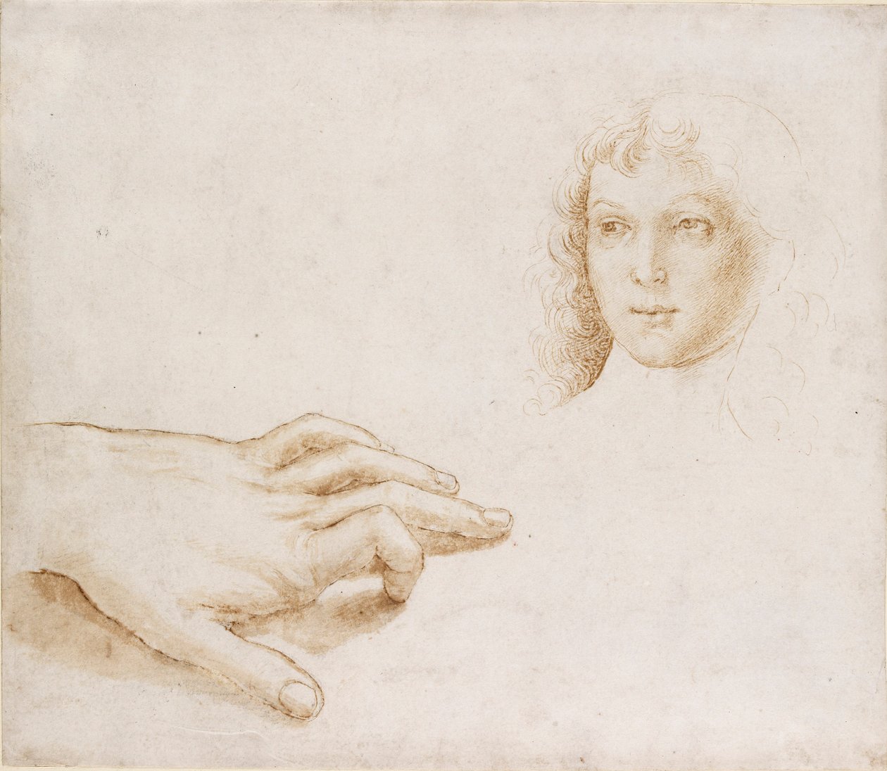 Studier av ett huvud och en hand, sent 1400-tidigt 1500-tal av Perugino