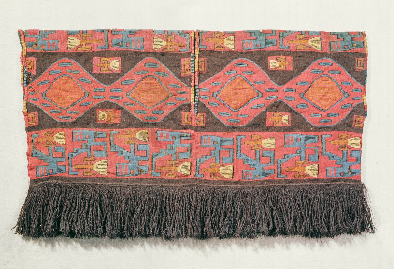 Skjorta av interlock ulltapet, Nazca Culture (textil) av Peruvian School