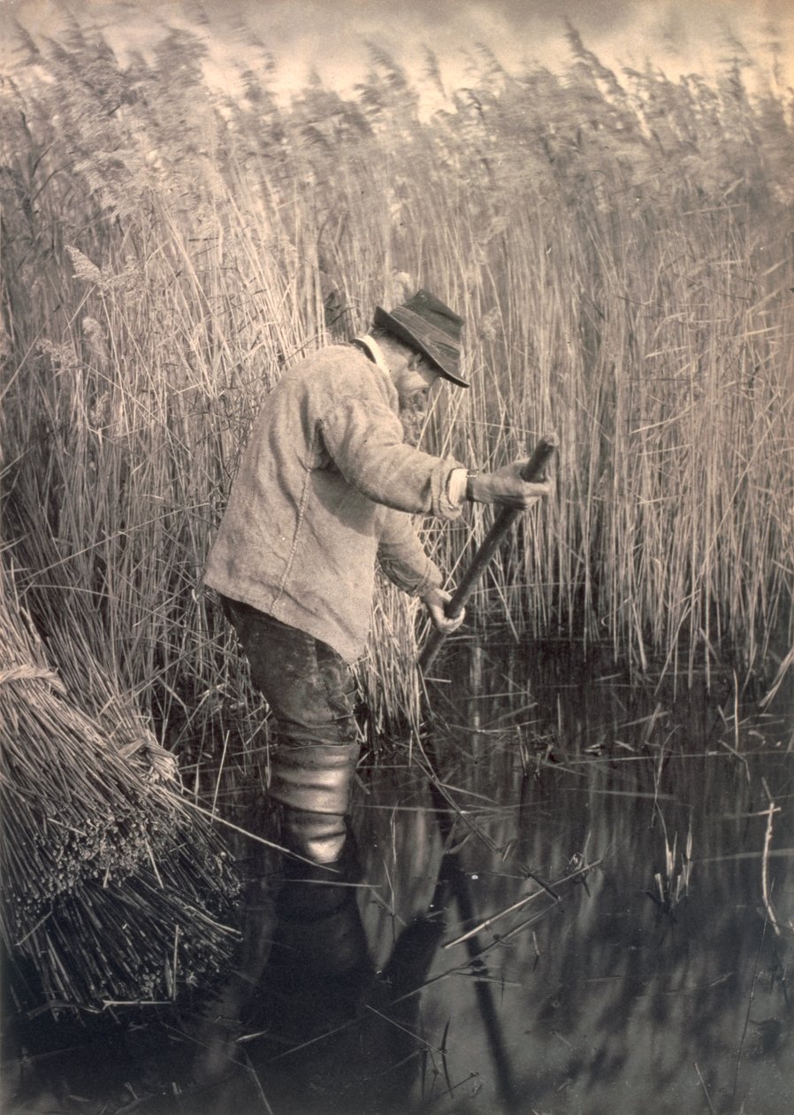 A Reed Cutter at Work, Life and Landscape on the Norfolk Broads, c.1886 av Peter Emerson und Thomas Goodall