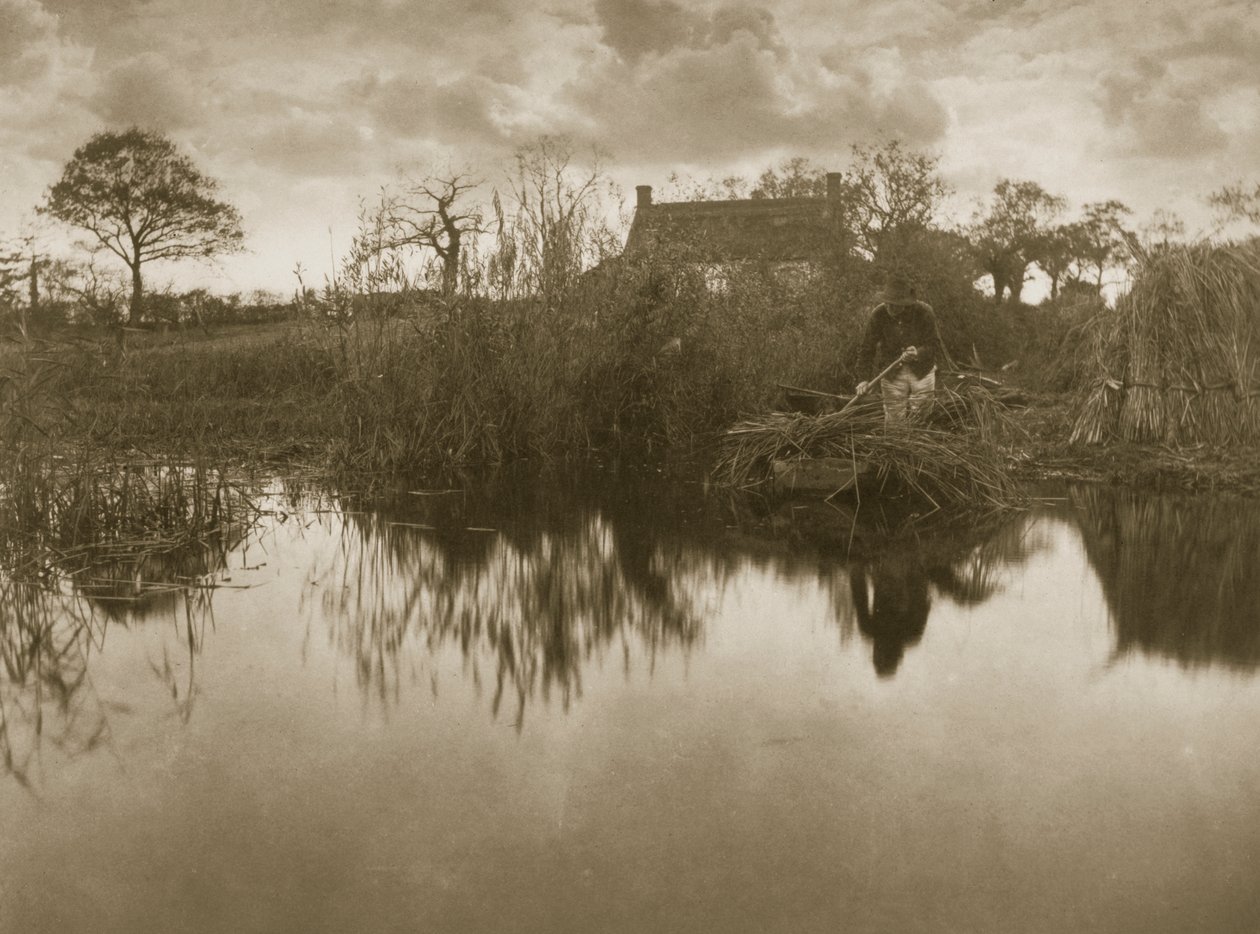 Samling av Gladdon, ca 1886 av Peter Emerson und Thomas Goodall