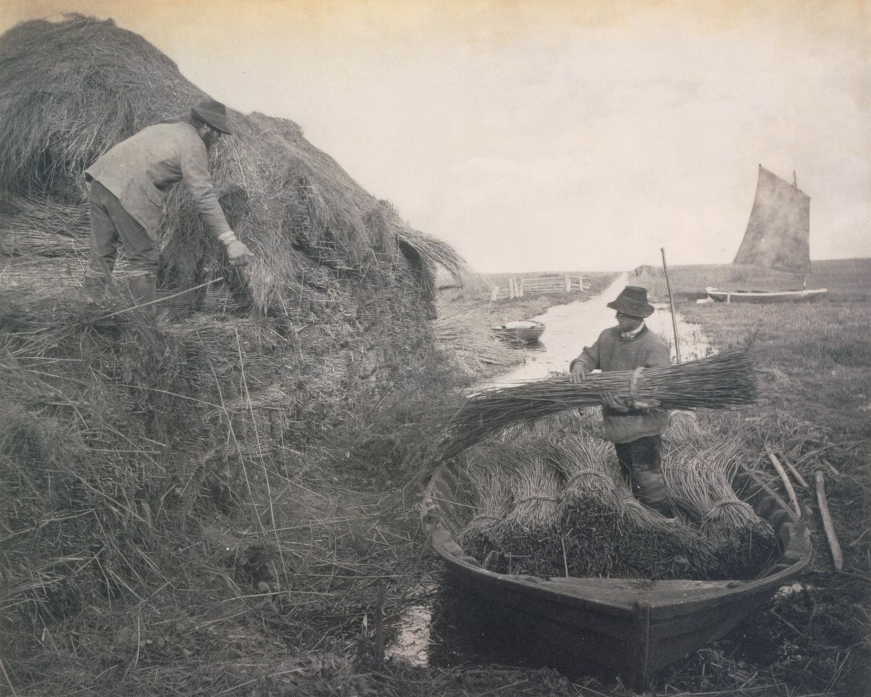 Rockin the Reef, Life and Landscape on the Norfolk Broads, c.1886 av Peter Emerson und Thomas Goodall