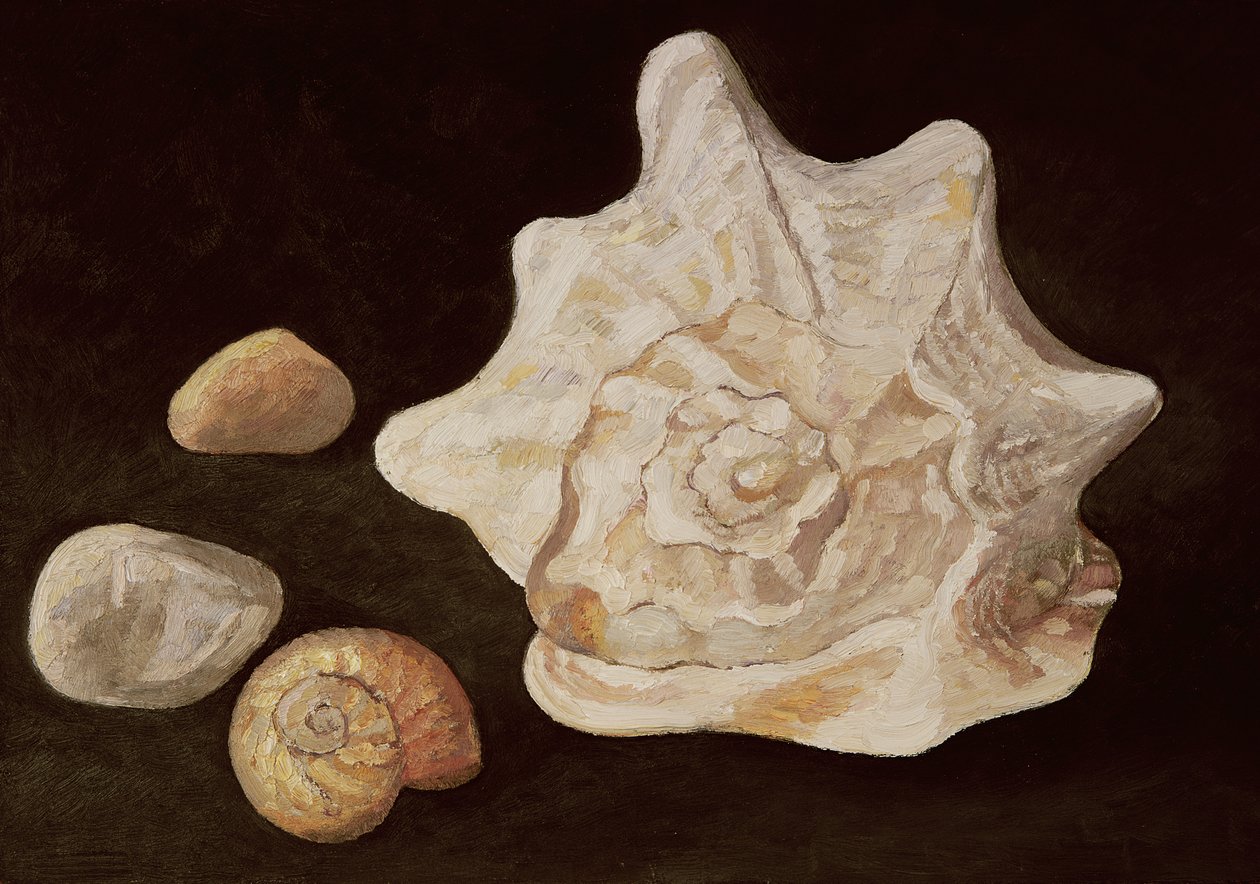 Conch Shell, 1995 av Peter Davidson