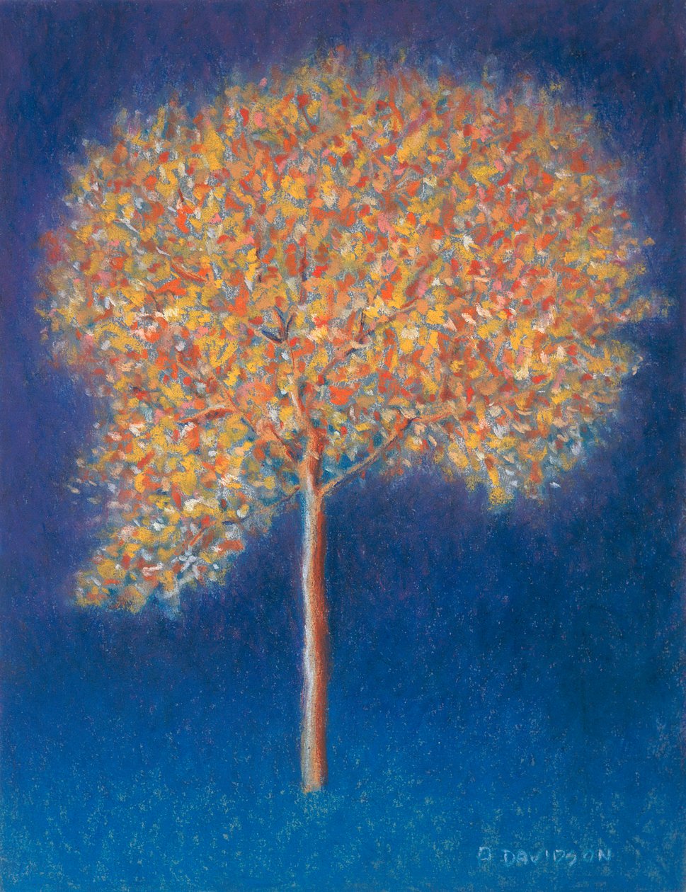 Träd i blom, 1997 av Peter Davidson