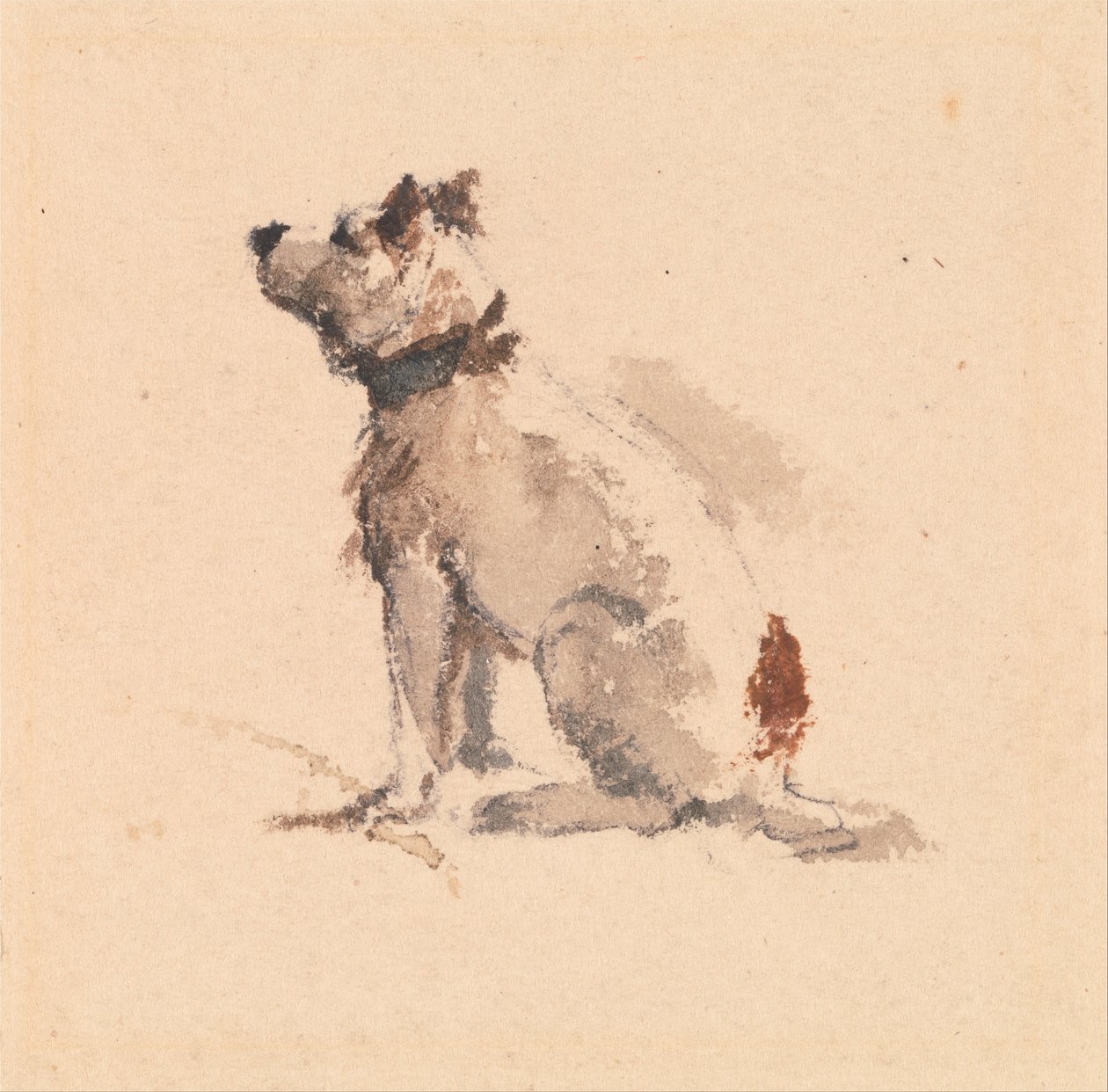 A Terrier, Sitting Facing Left av Peter de Wint