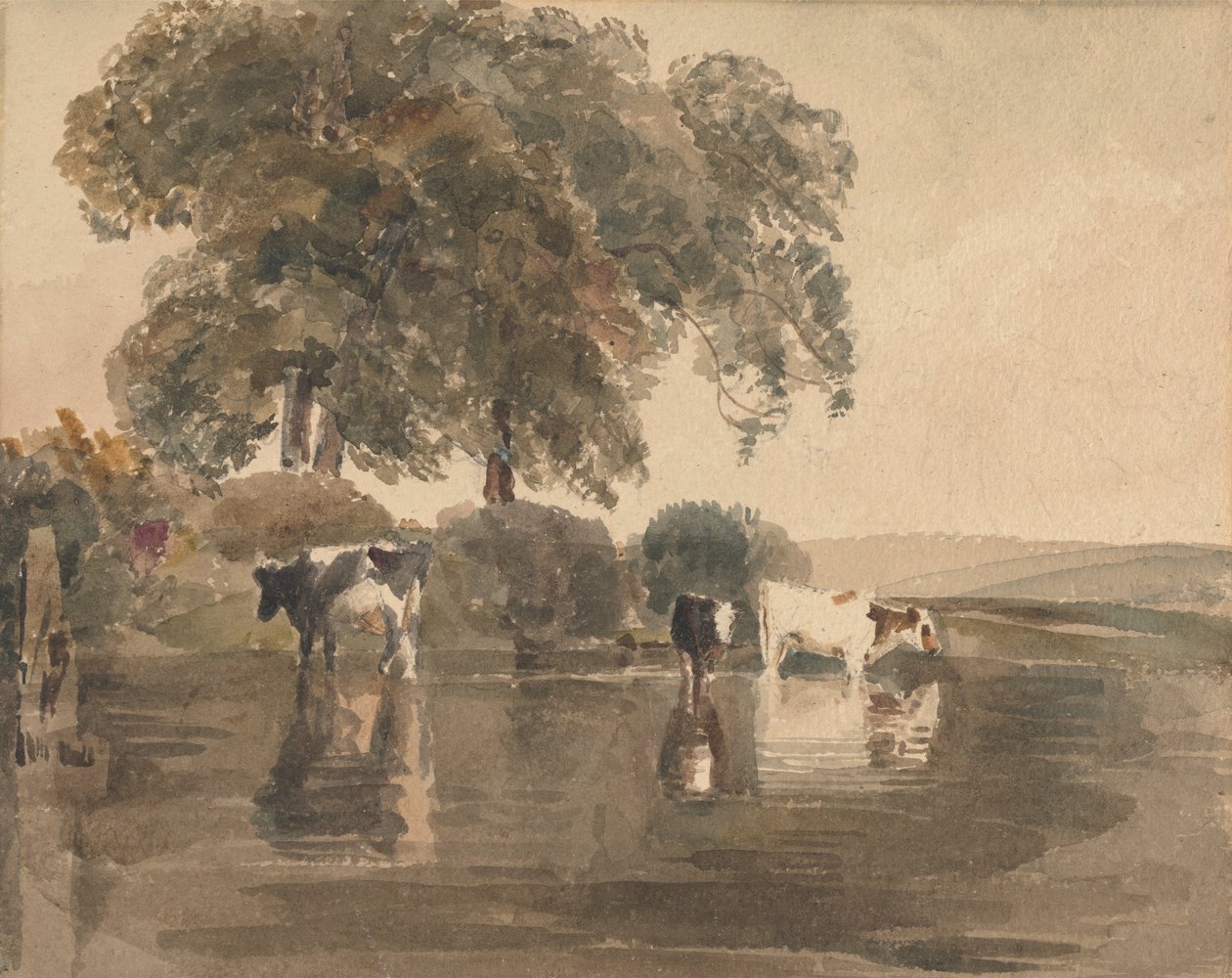 Cows in a Pool av Peter de Wint