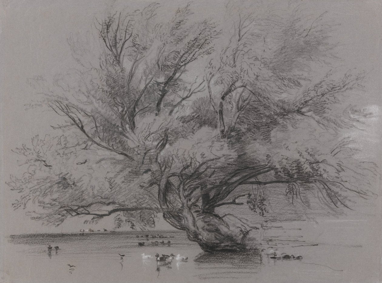 Pond with Willow Tree and Ducks av Peter de Wint
