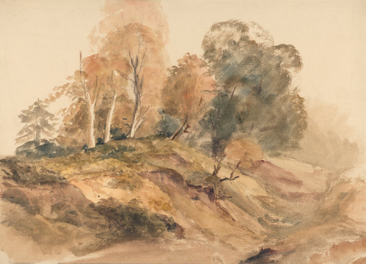 Trees on a Bank av Peter de Wint