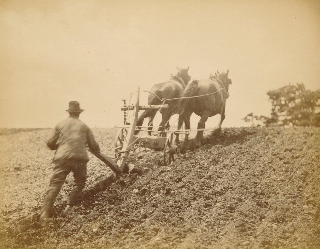 Ett hårt drag av Peter Henry Emerson