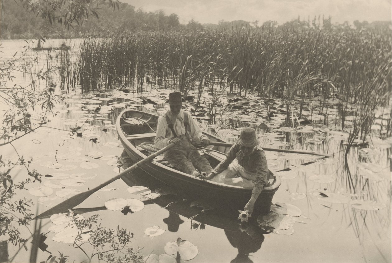 Samlar vatten-liljor av Peter Henry Emerson