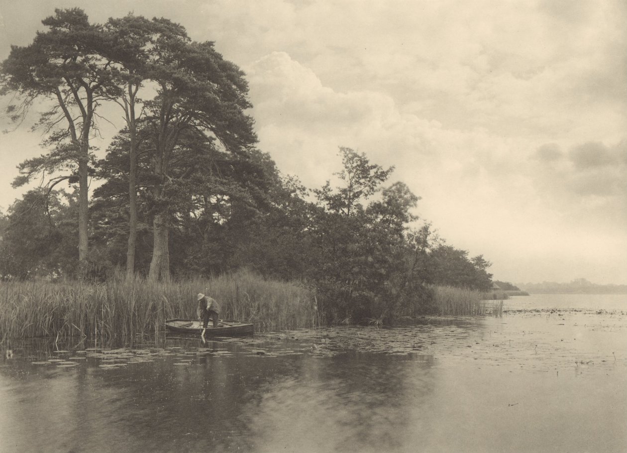 Gäddans tillhåll av Peter Henry Emerson