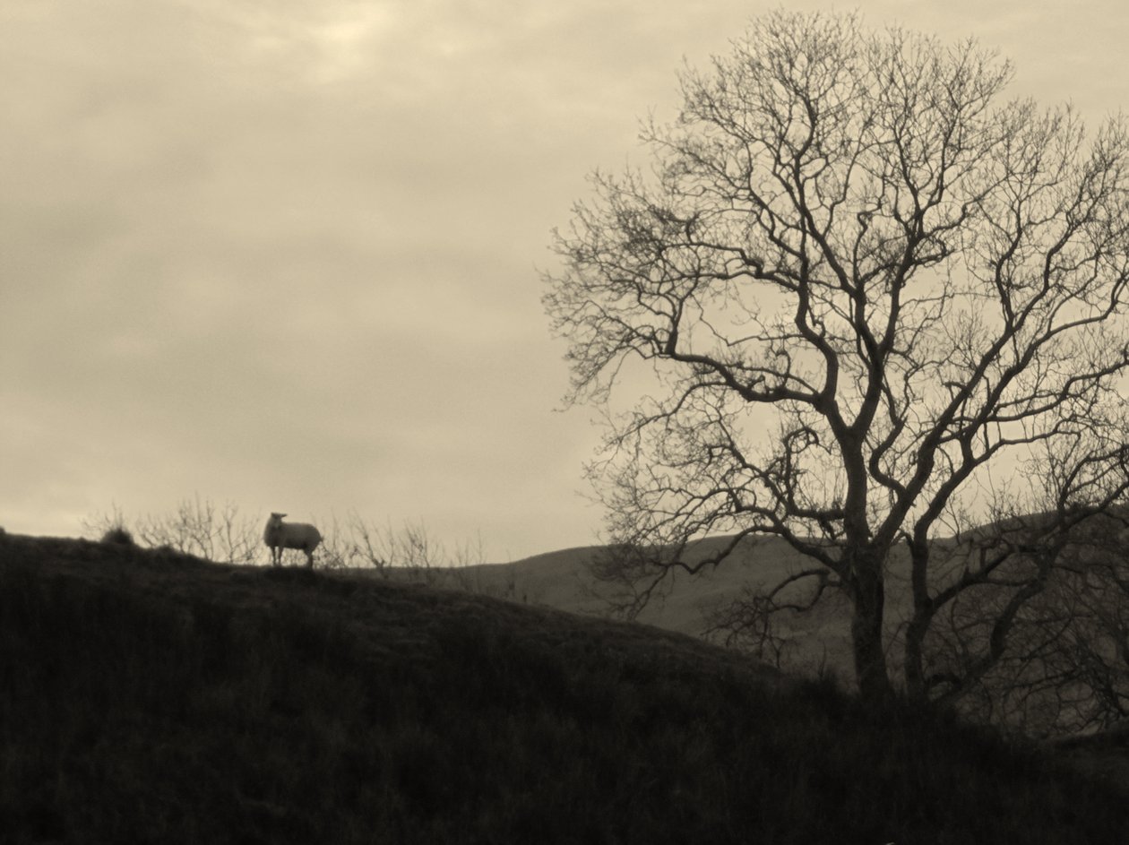 KINTYRE... PLUS.9 av Peter McClure