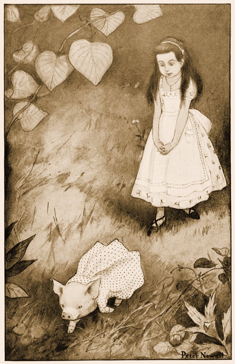 "Så hon satte ner den lilla varelsen", illustration för Lewis Carrolls Alice