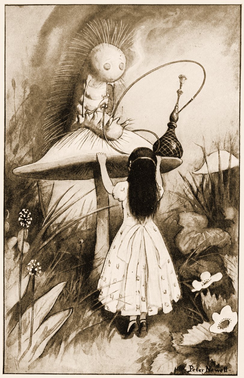 The Caterpillar och Alice tittade på varandra, illustration för Lewis Carrolls Alices Adventures in Wonderland, 1901 av Peter Newell