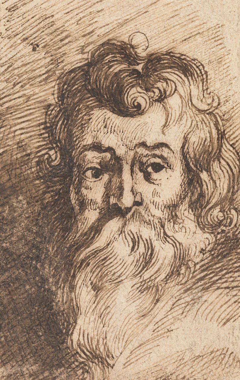 Head of a bearded man av Peter Paul Rubens
