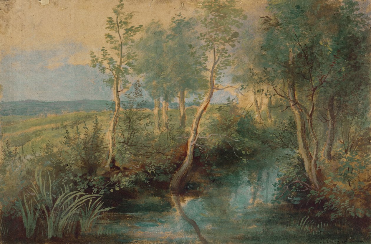 Uboreshaji wa mazingira av Peter Paul Rubens