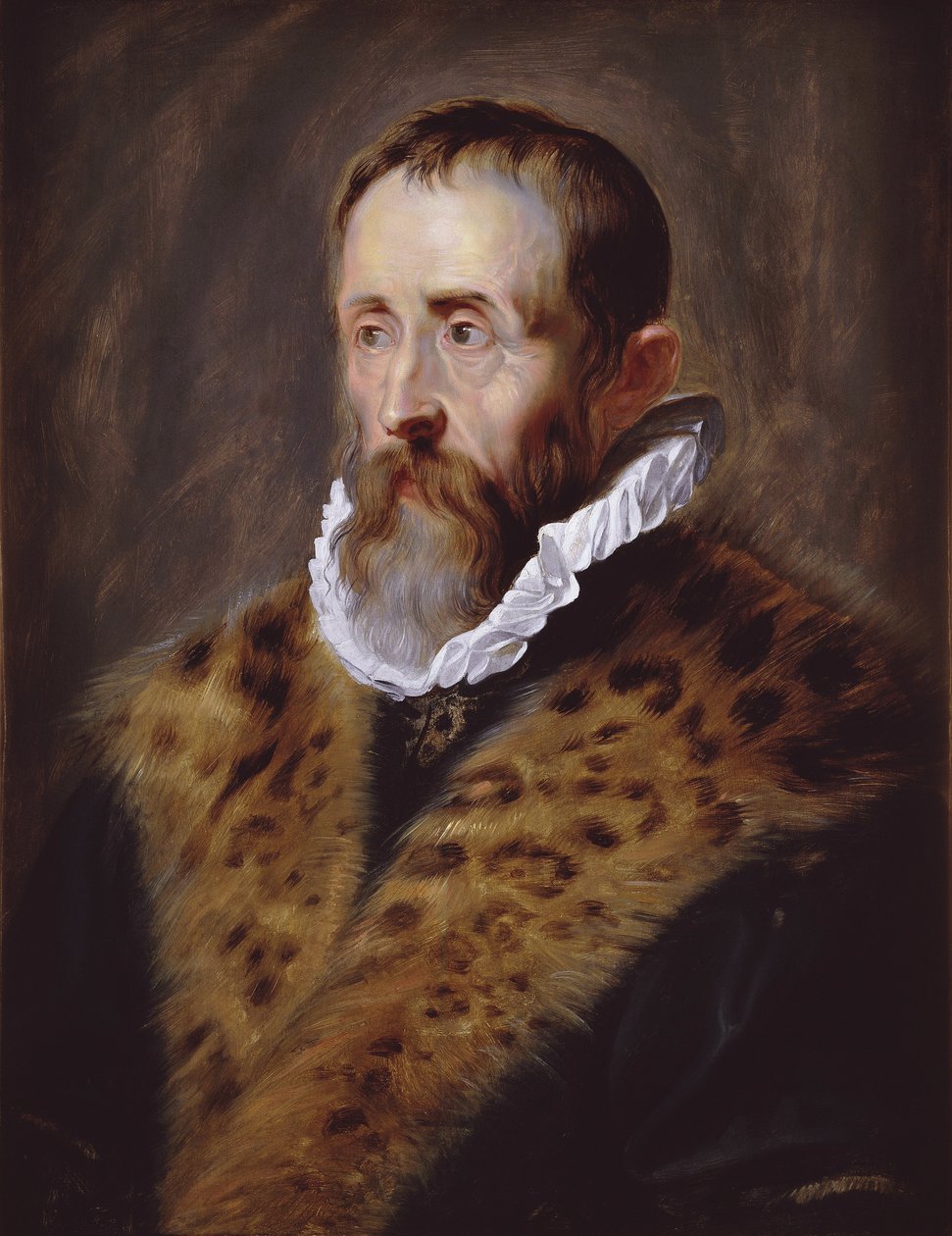 Portrait of Justus Lipsius av Peter Paul Rubens