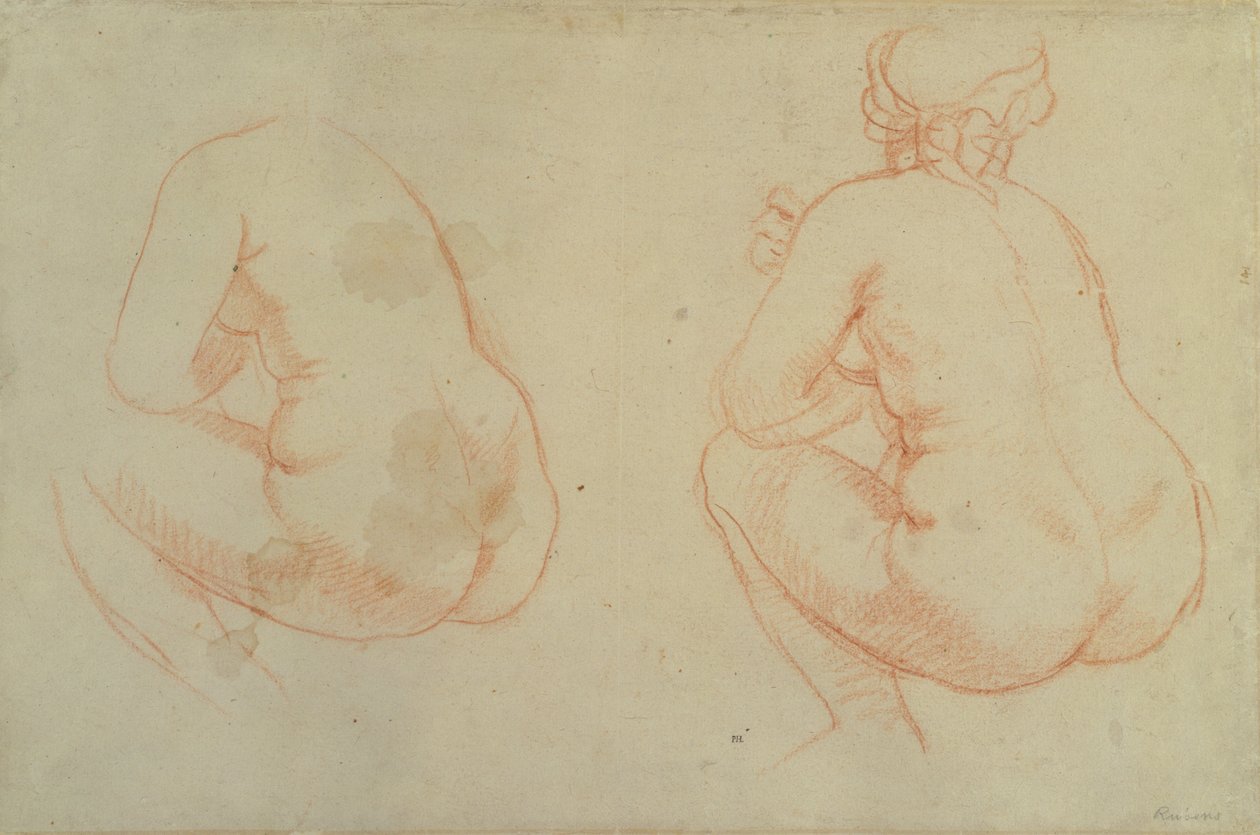 Studier av kvinnliga nakenbilder av Peter Paul Rubens
