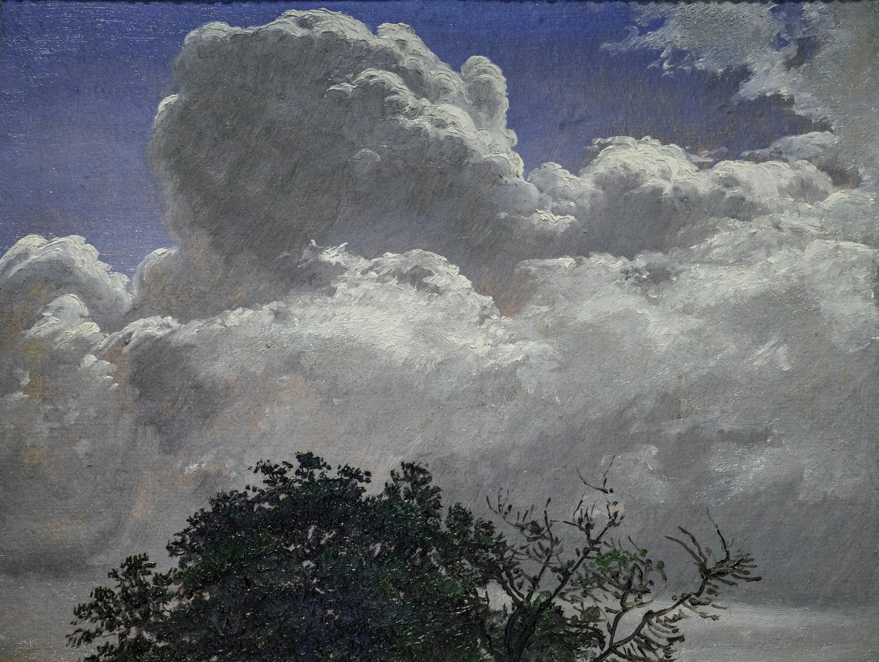 Studie av himmel och trädtopp, ca 1840 (olja på papp) av Peter Christian Skovgaard