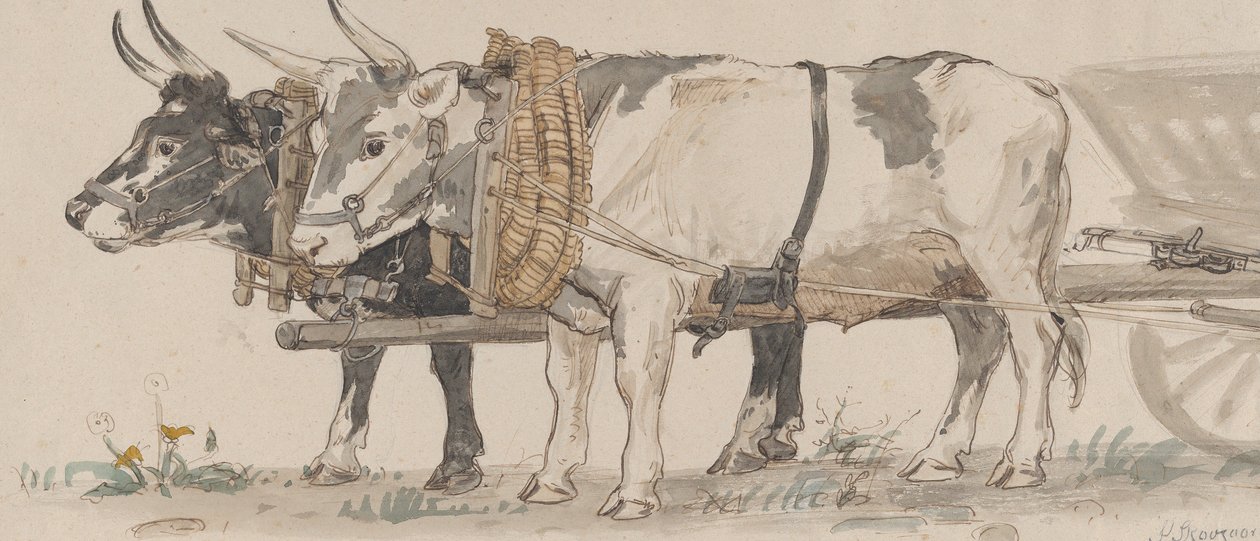 Två oxar som drar en vagn, 1874. av Peter Christian Thamsen Skovgaard