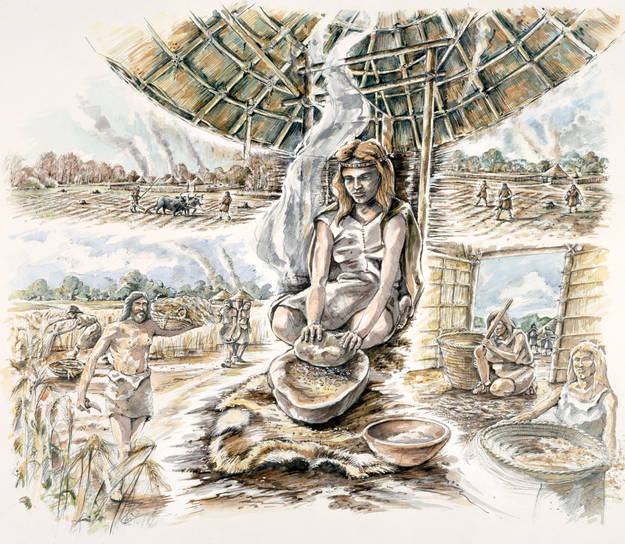 Neolitisk spannmålsproduktion, c1990-2010 av Peter Dunn