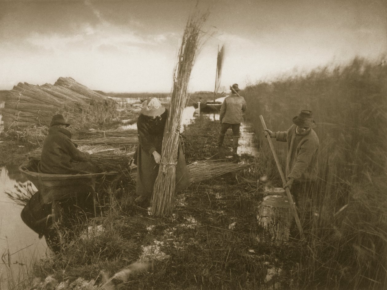 Under skörden av rörflen, liv och landskap på Norfolk Broads, ca 1886 av Peter Emerson und Thomas Goodall