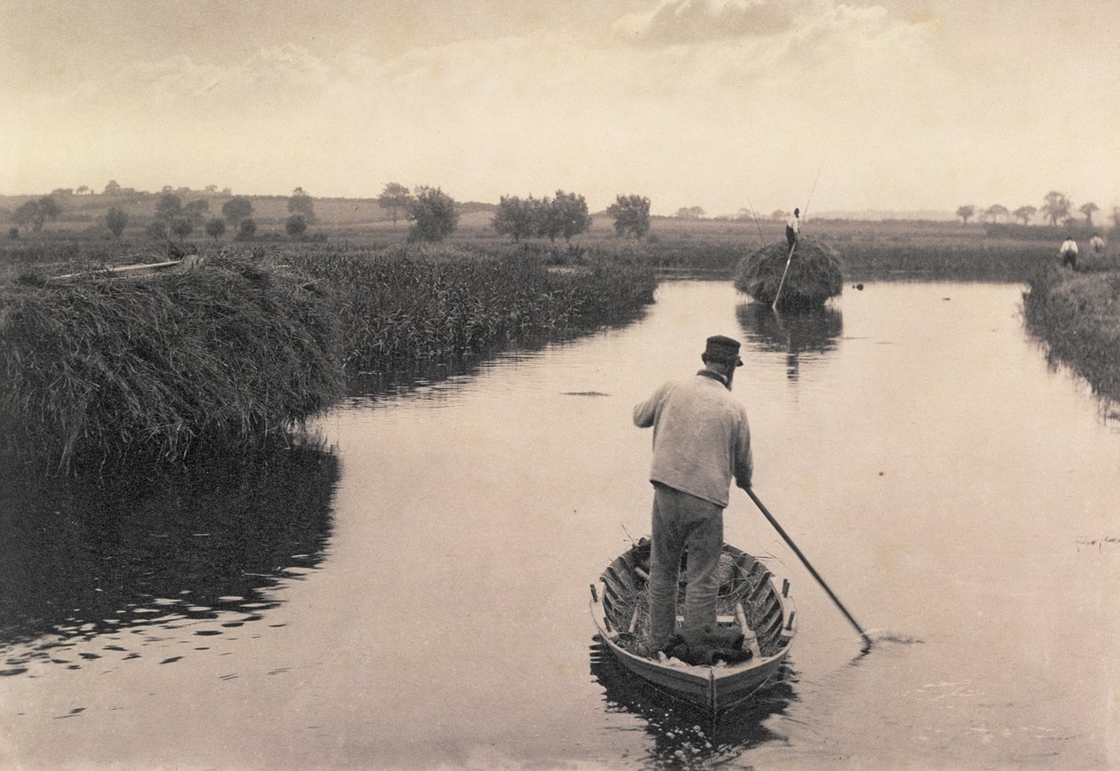 Quartering the Marsh Hay, Life and Landscape on the Norfolk Broads, c.1886 av Peter Emerson und Thomas Goodall