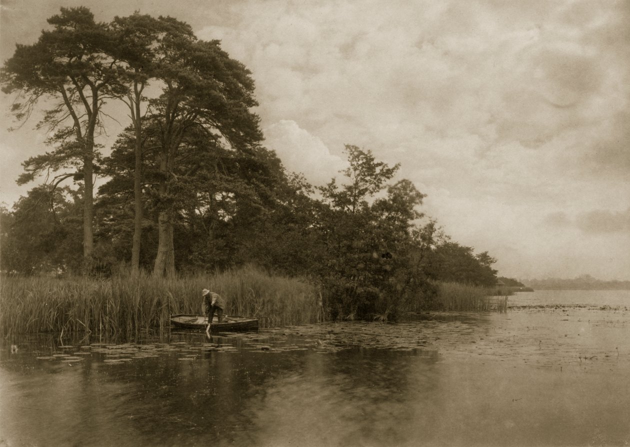 Gäddans tillhåll, ca 1886 av Peter Emerson und Thomas Goodall