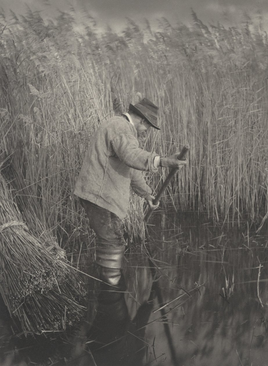 A Reed-Cutter at Work, 1886. Skapare: Dr Peter Henry Emerson, Thomas Frederick Goodall. av Peter Henry Emerson, Thomas Frederick Goodall