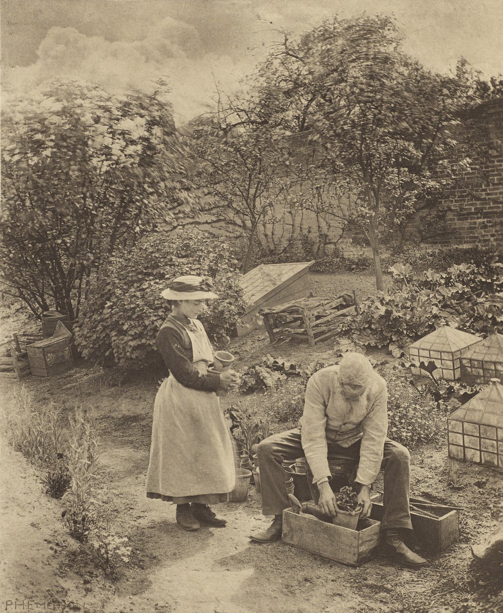 En trädgårdsända. [Suffolk.] av Peter Henry Emerson