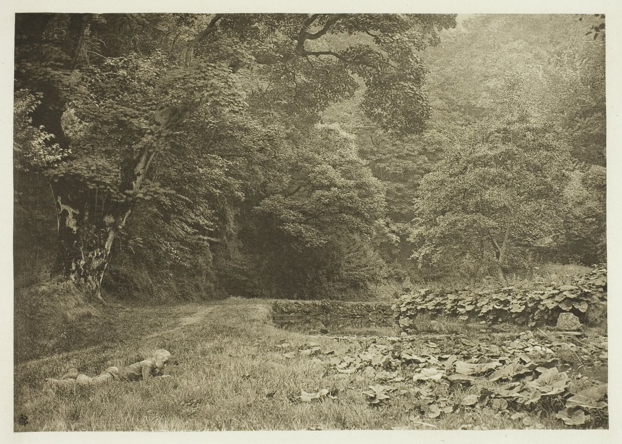 En lugn vrå i Beresford Dale av Peter Henry Emerson