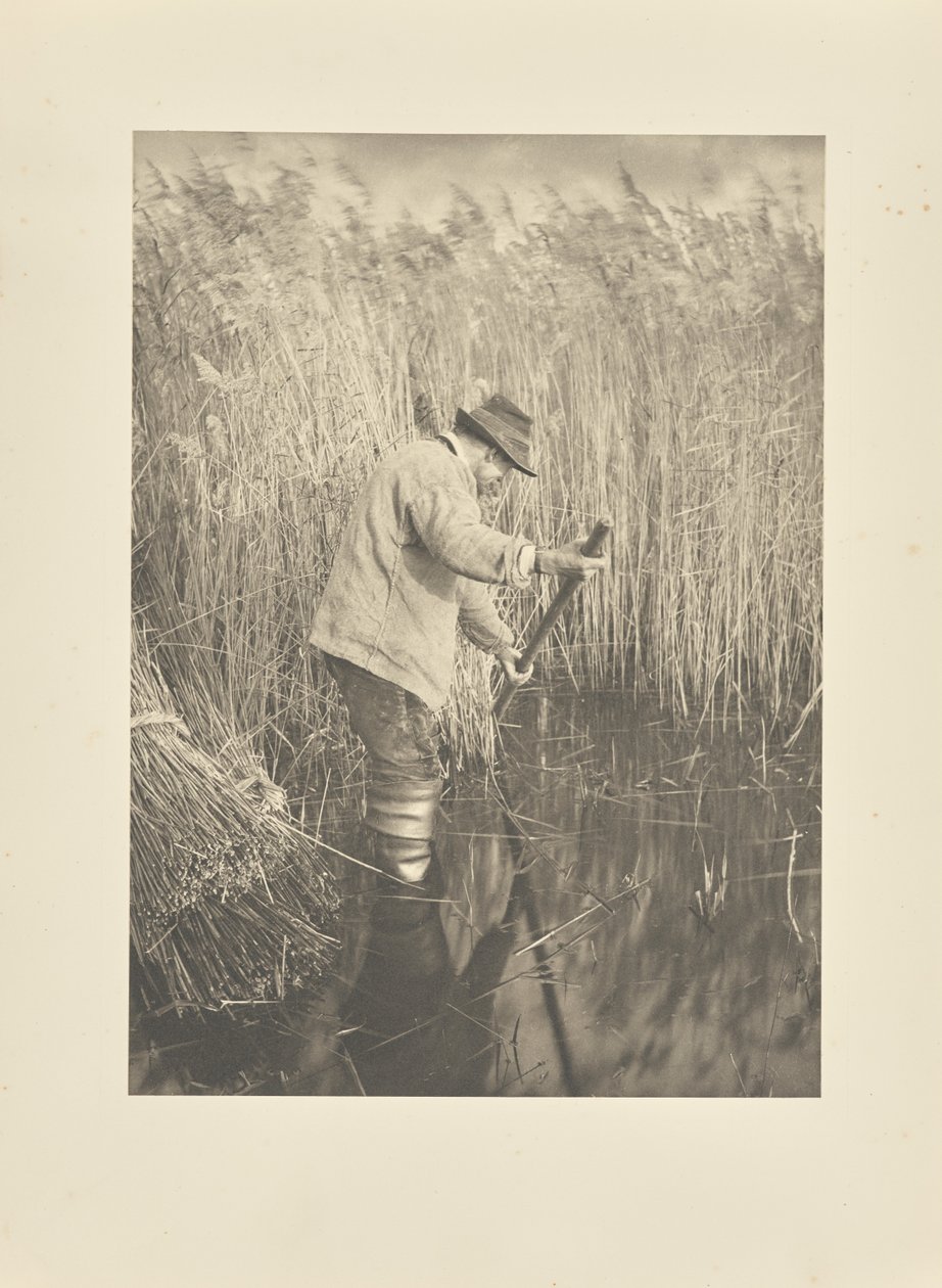 En vasskärare i arbete av Peter Henry Emerson
