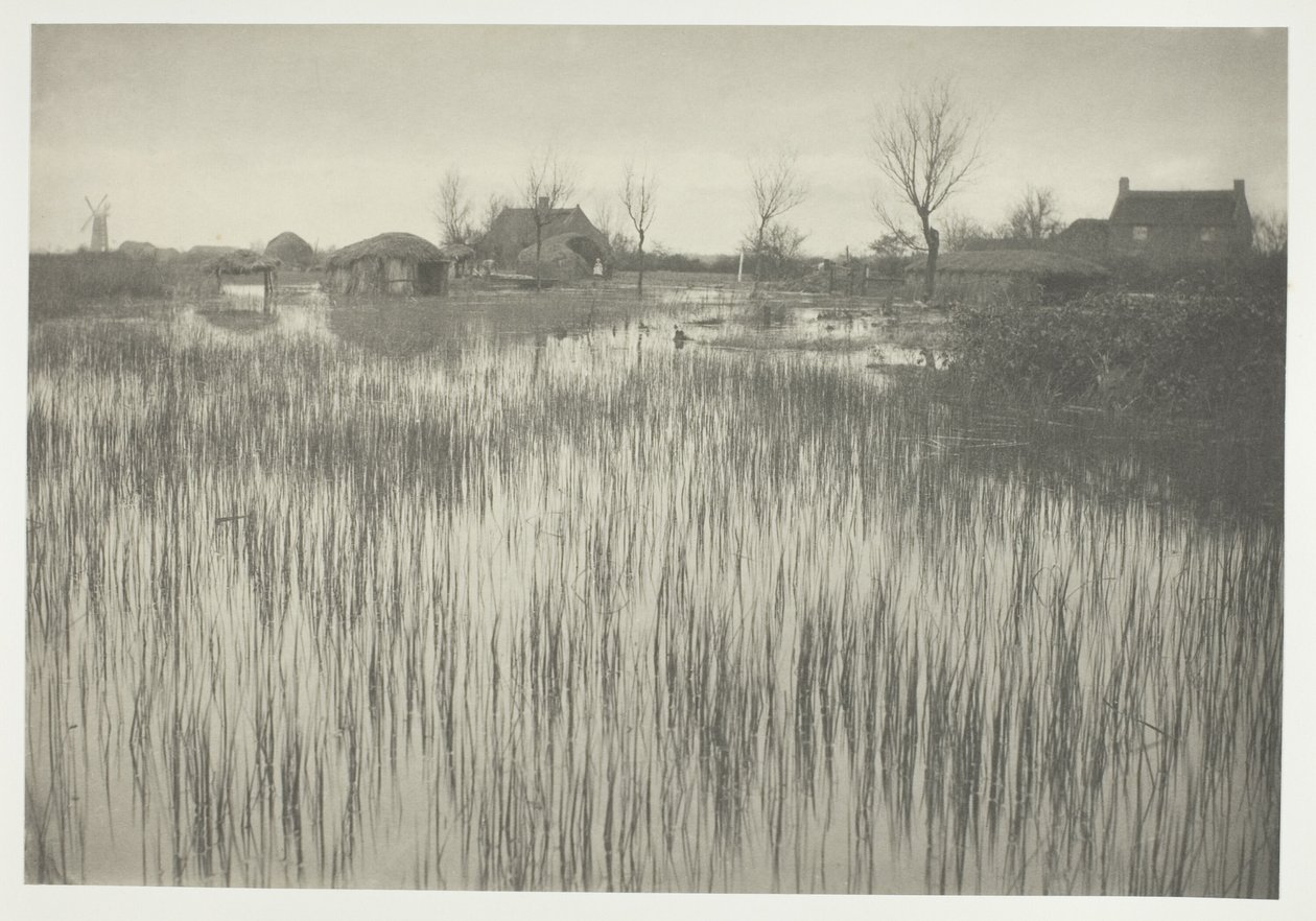En ruskig strand av Peter Henry Emerson