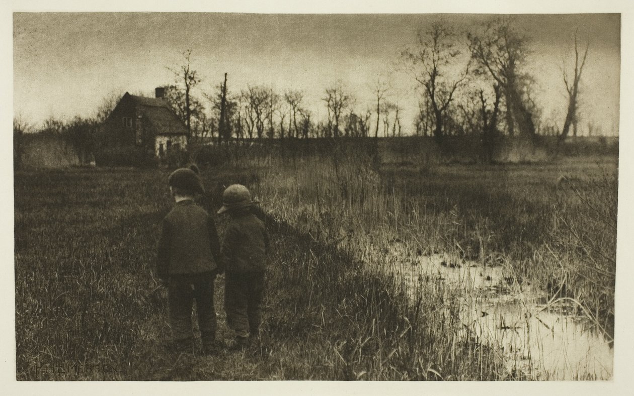 A Toad in the Path: Tidig vår i Norfolk av Peter Henry Emerson
