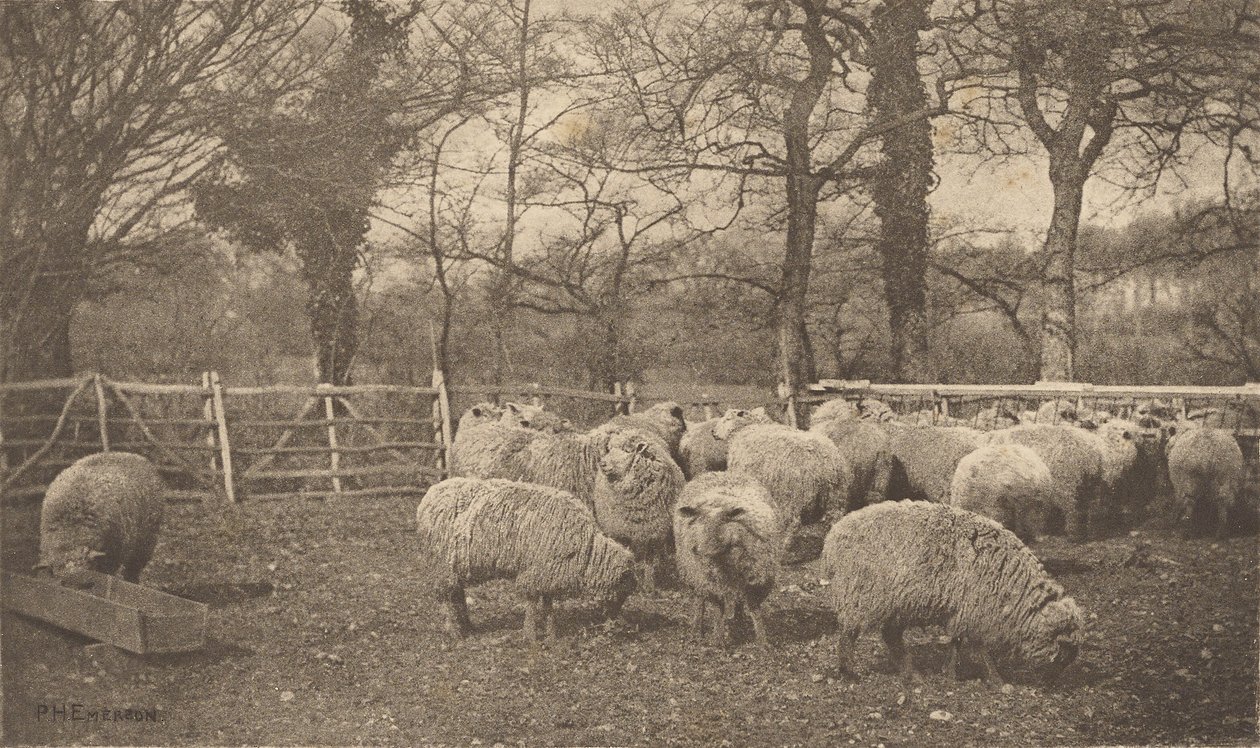 En höstpastoral av Peter Henry Emerson