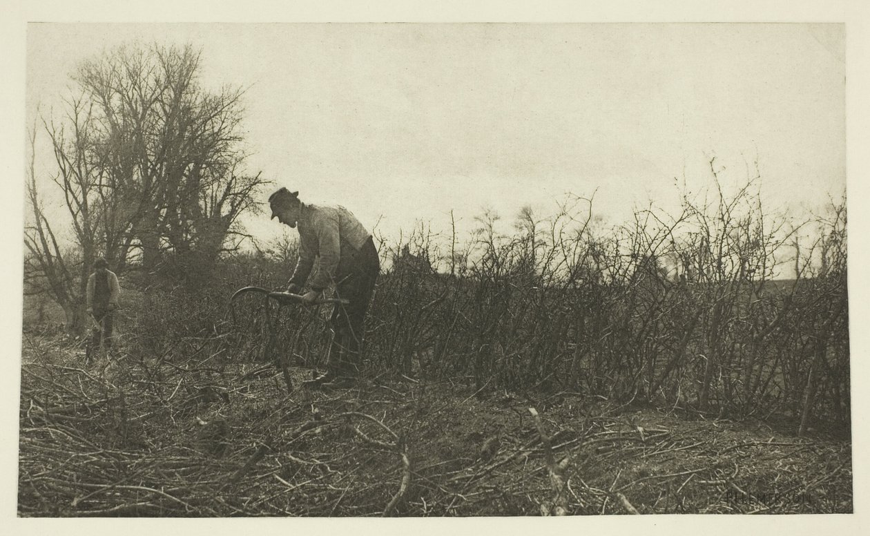 Fäktning i Suffolk av Peter Henry Emerson