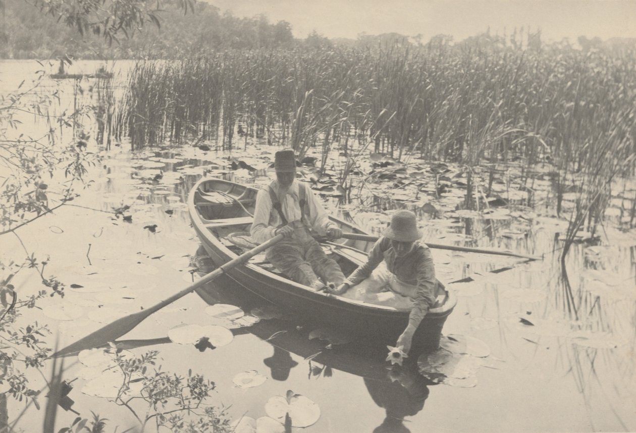 Samling av näckrosor,1886 (foto) av Peter Henry Emerson