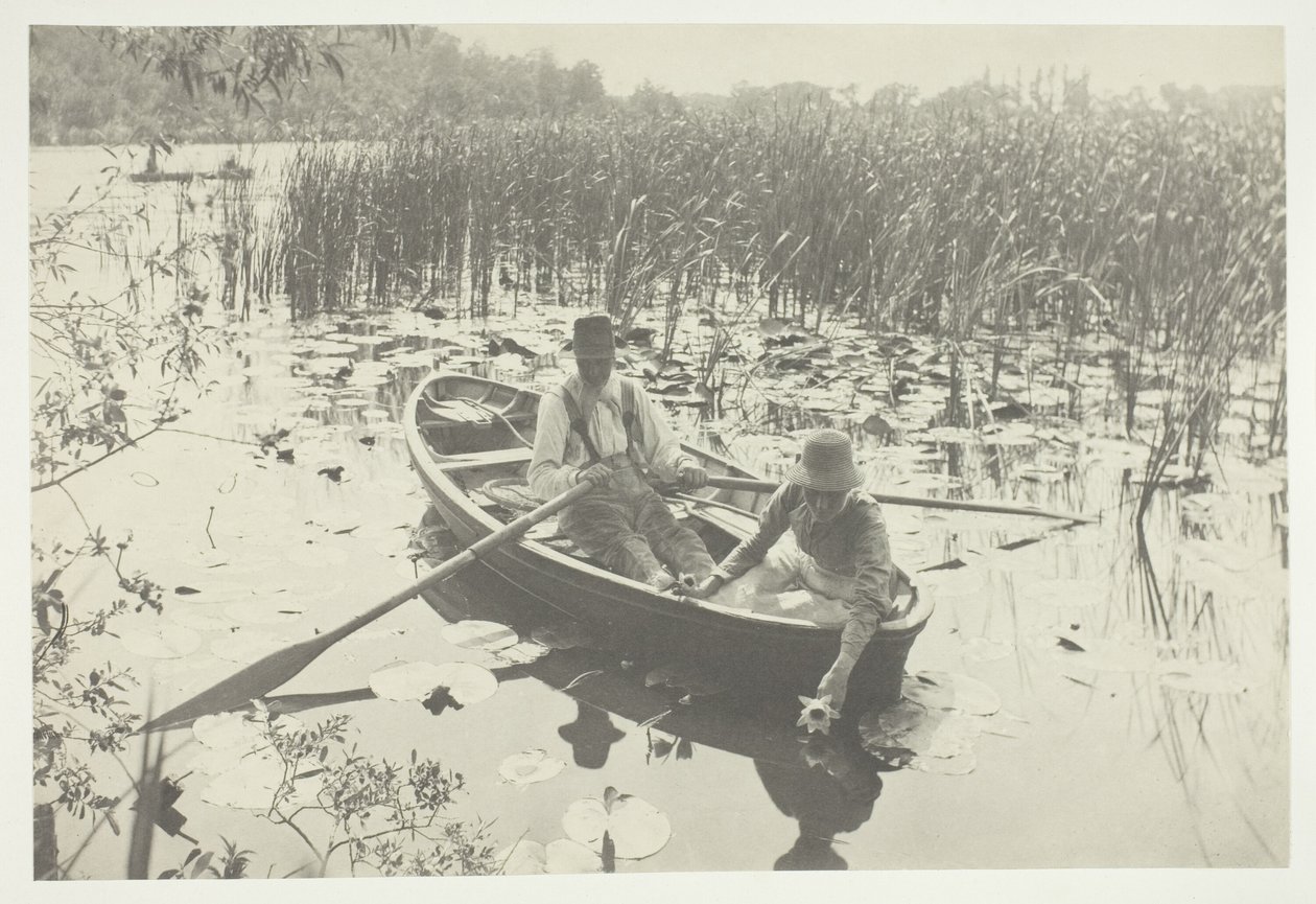 Samla näckrosor av Peter Henry Emerson
