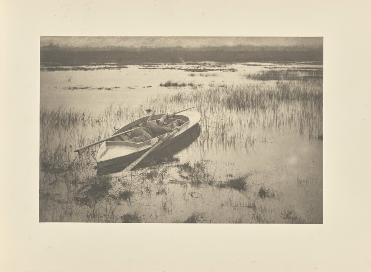 Jakthund som smyger sig på fjäderfä av Peter Henry Emerson