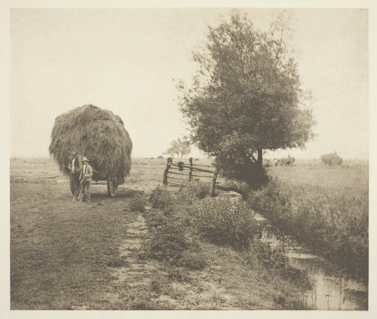ヘイゼル (ノーフォーク) スウェーデン語で av Peter Henry Emerson
