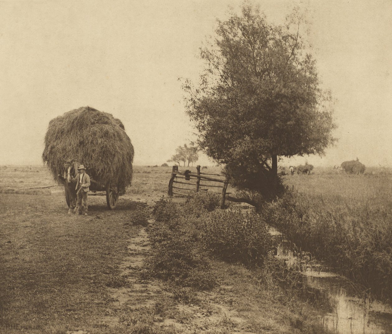 På höängen. [Norfolk.] av Peter Henry Emerson