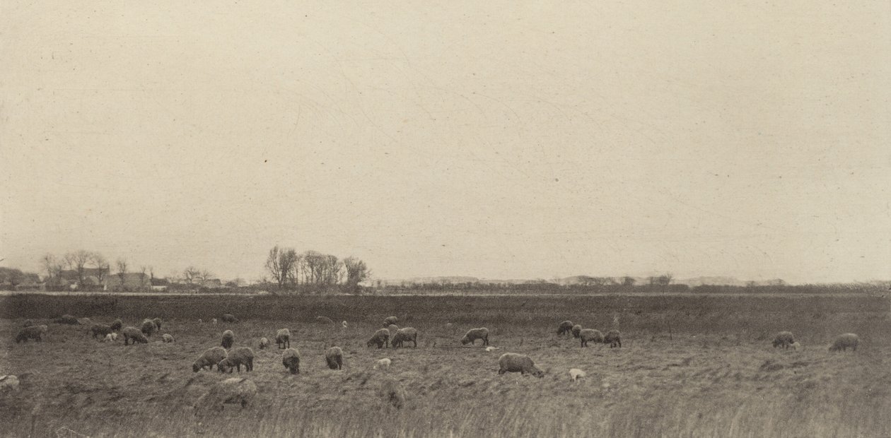 Myrar vid Nordsjön, 1890-1891, tryckt 1893. av Peter Henry Emerson
