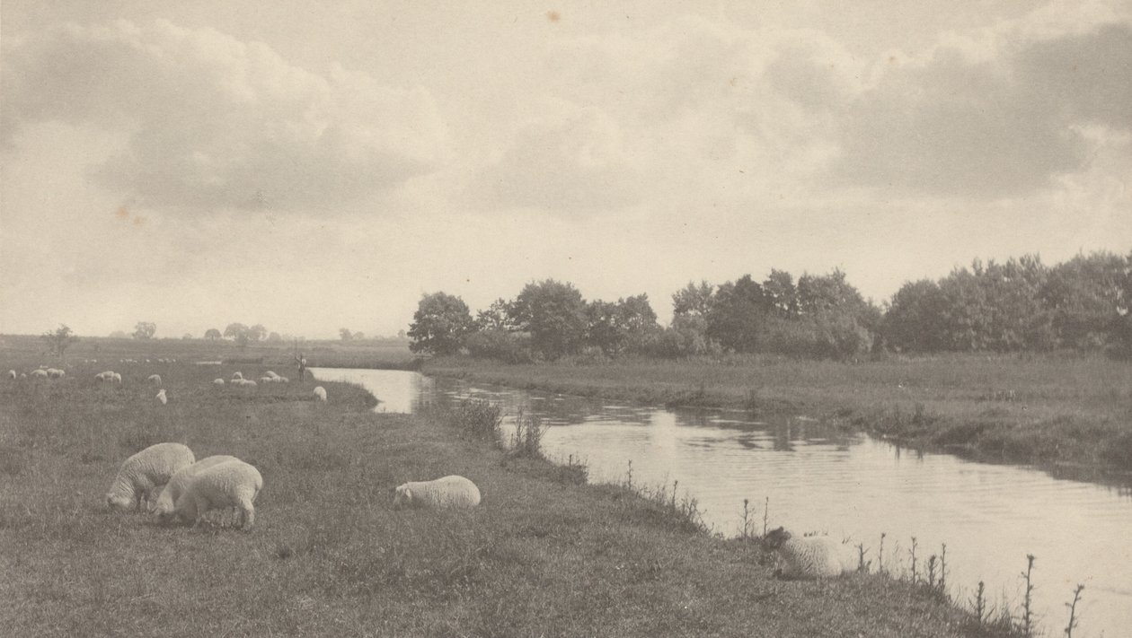 På floden Bure,1886 (foto) av Peter Henry Emerson
