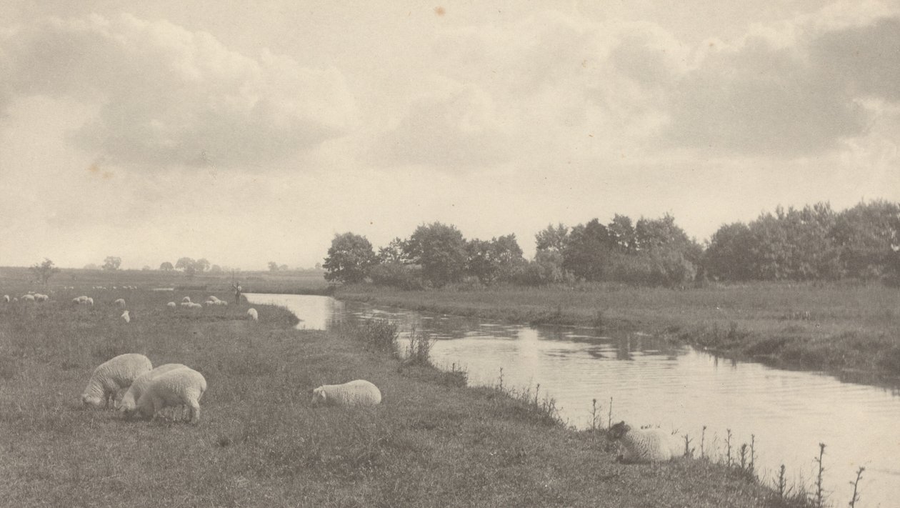 Vid floden Bure, 1886. av Peter Henry Emerson
