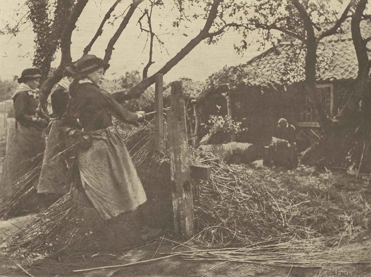 OsierPeeling. [Norfolk]]. av Peter Henry Emerson