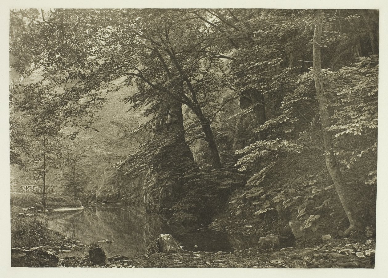 "Pike Pool" (underifrån) av Peter Henry Emerson